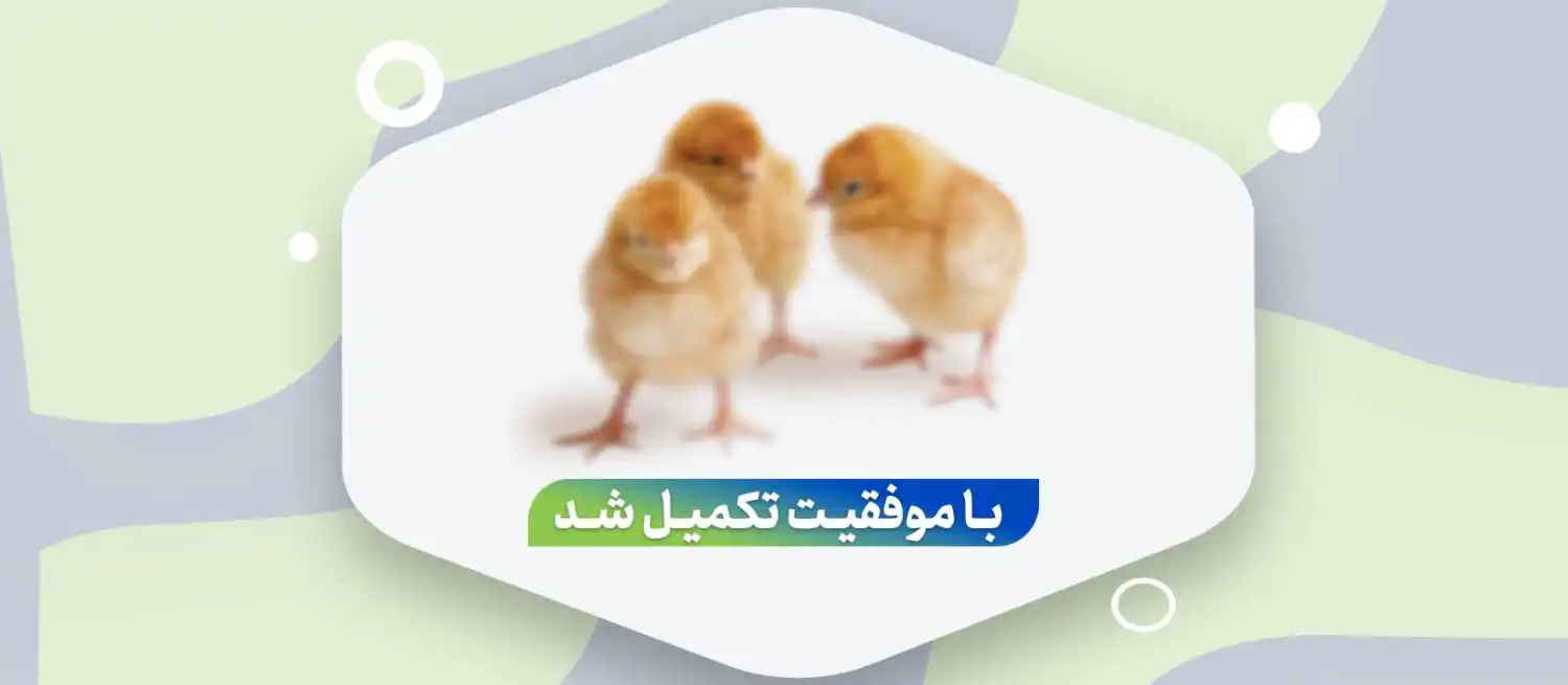 تامین سرمایه درگردش جهت تولید جوجه یک روزه